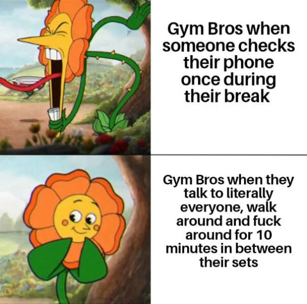 Gym Struggles & Gains In Meme Form