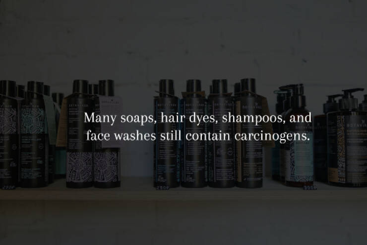 Spine-Chilling Facts You’ll Wish You Didn’t Know