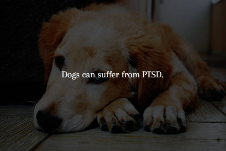 Spine-Chilling Facts You’ll Wish You Didn’t Know