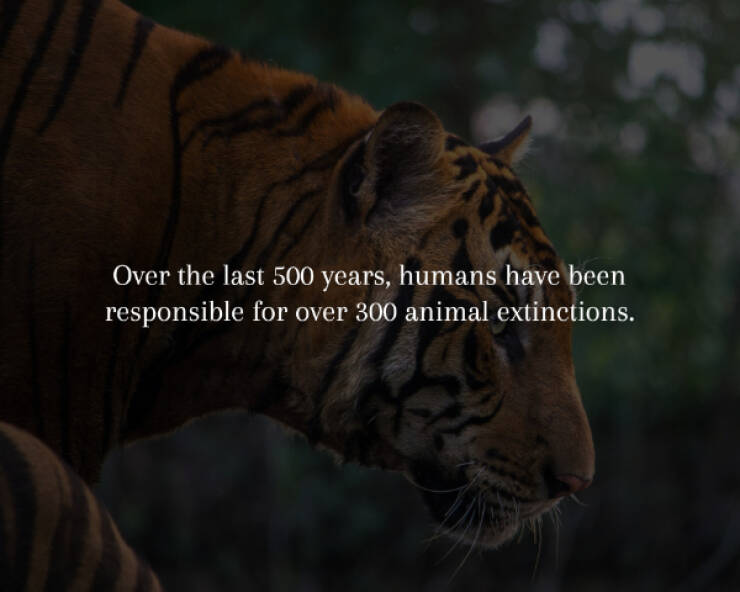 Spine-Chilling Facts You’ll Wish You Didn’t Know