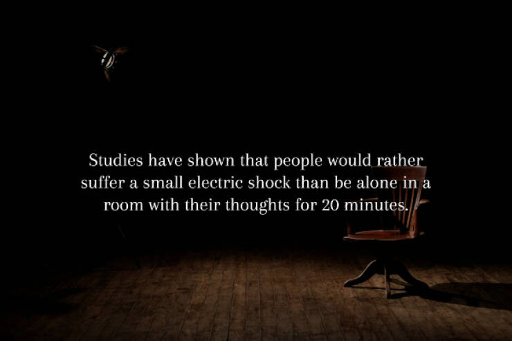 Spine-Chilling Facts You’ll Wish You Didn’t Know