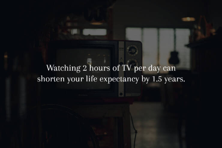 Spine-Chilling Facts You’ll Wish You Didn’t Know