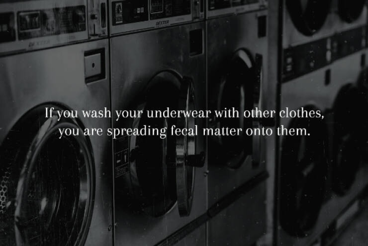 Spine-Chilling Facts You’ll Wish You Didn’t Know