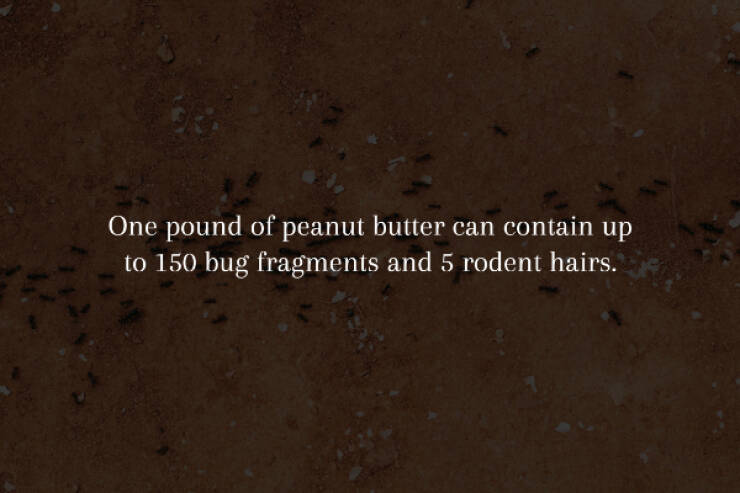 Spine-Chilling Facts You’ll Wish You Didn’t Know