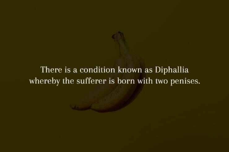 Spine-Chilling Facts You’ll Wish You Didn’t Know