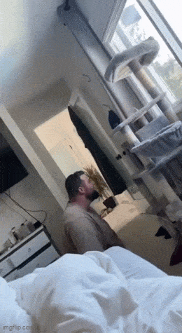 Cats Being Their Ridiculous, Adorable Selves