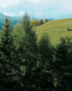 Daily Gifdump [WEEKEND EDITION]