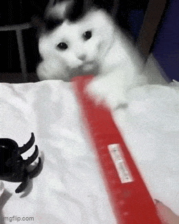 Daily Gifdump [WEEKEND EDITION]