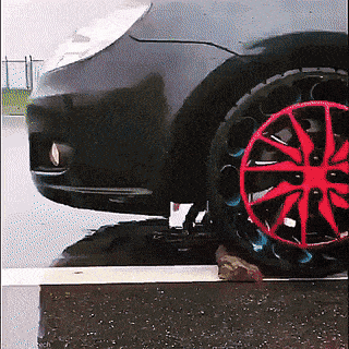 Daily Gifdump [WEEKEND EDITION]