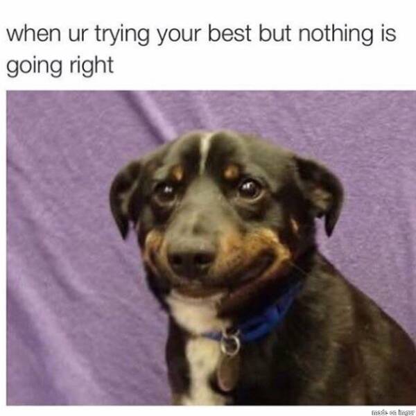 Anxiety Be Like… The Funniest Relatable Memes