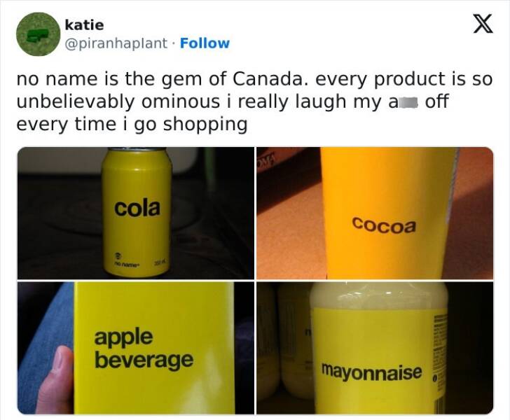 From Moose To Maple Syrup – The Most Canadian Things Ever