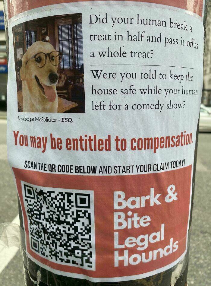 From Moose To Maple Syrup – The Most Canadian Things Ever