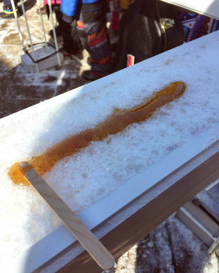 From Moose To Maple Syrup – The Most Canadian Things Ever