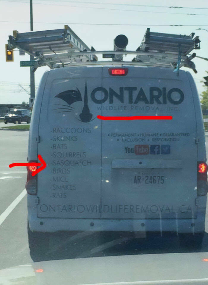 From Moose To Maple Syrup – The Most Canadian Things Ever