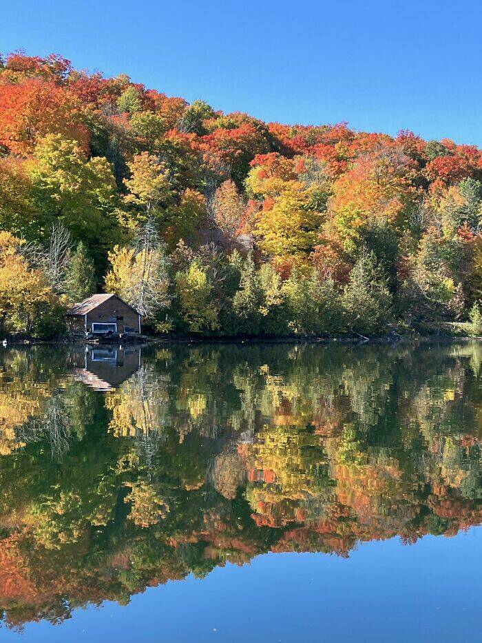 From Moose To Maple Syrup – The Most Canadian Things Ever