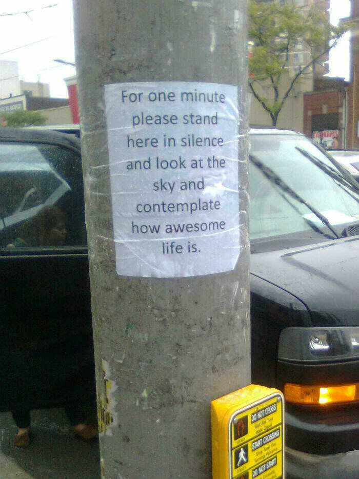 From Moose To Maple Syrup – The Most Canadian Things Ever