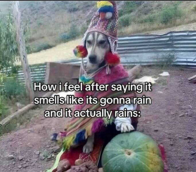 Funny Picdump Funny Picdump