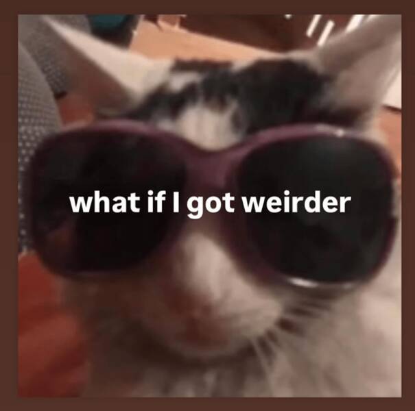 Funny Picdump Funny Picdump