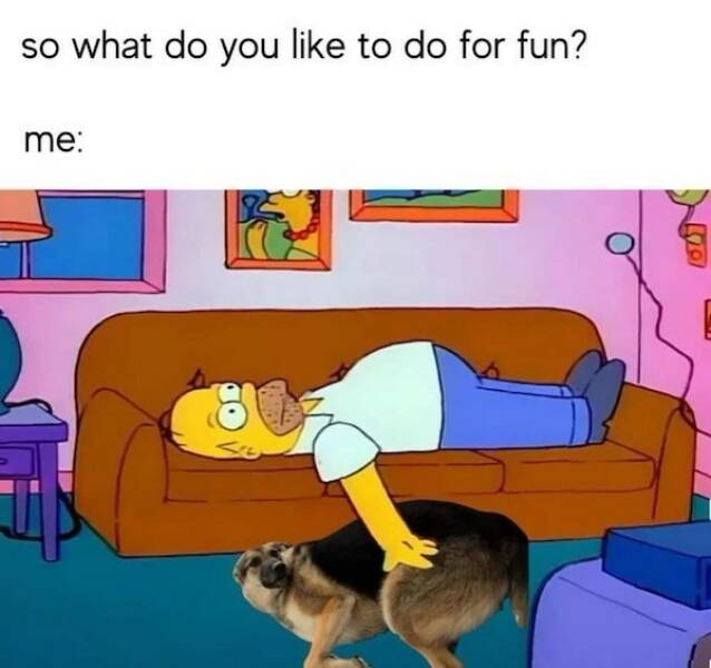 Funny Picdump Funny Picdump