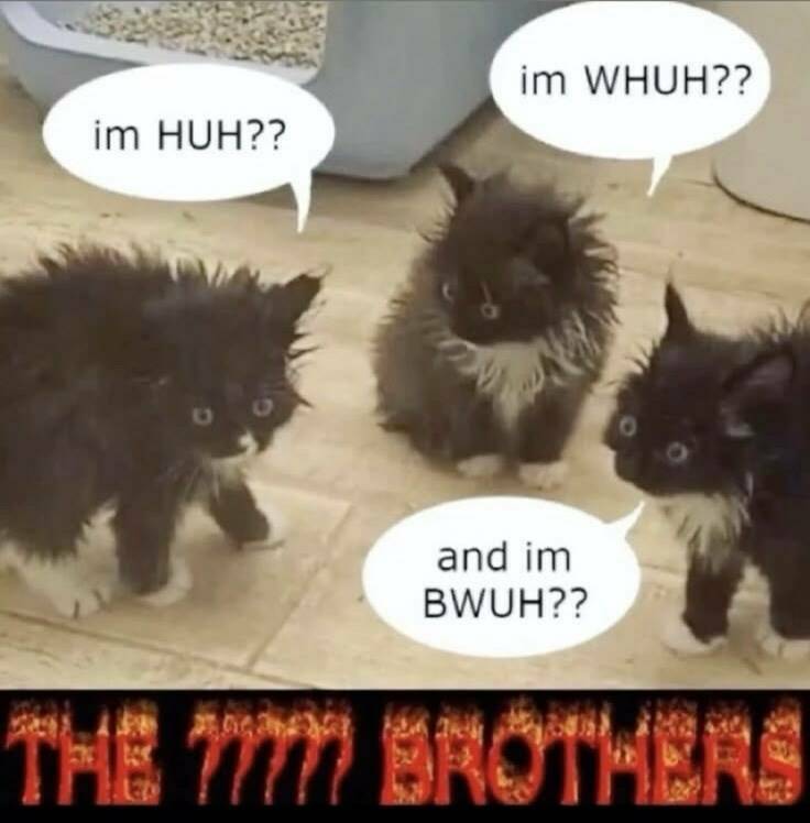 Funny Picdump Funny Picdump