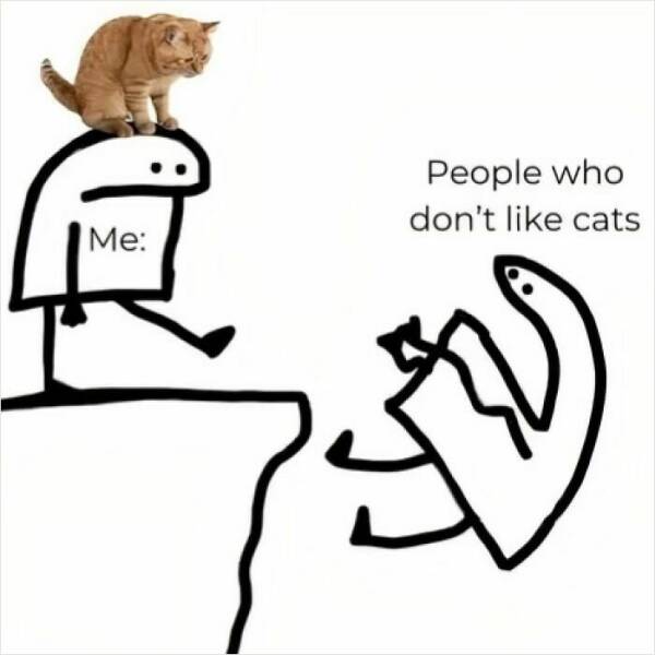 Paws-itively Hilarious Cat Memes And Pics