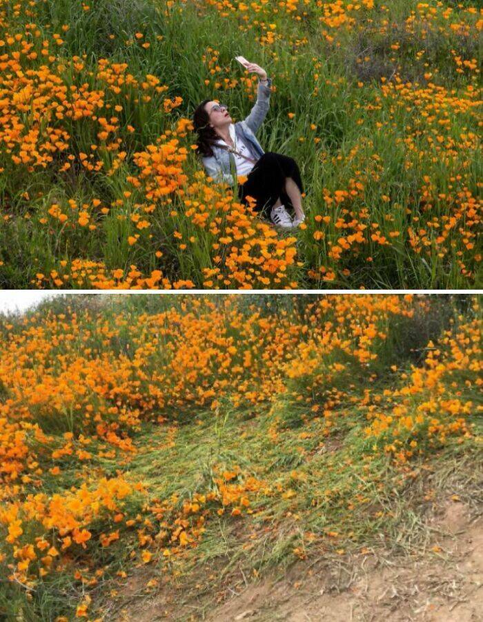 Shameless Influencer Moments That Sparked Outrage