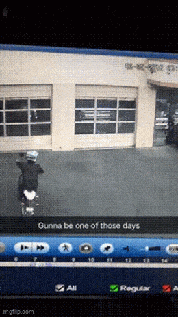 Daily Gifdump