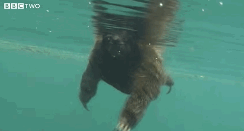 Totally Useless But Weirdly Interesting Facts