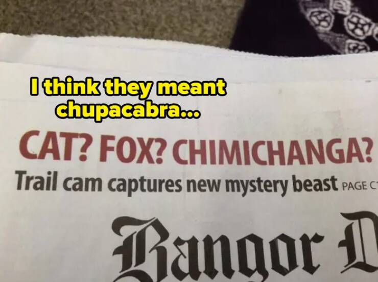 Epic Fails That People Instantly Regretted