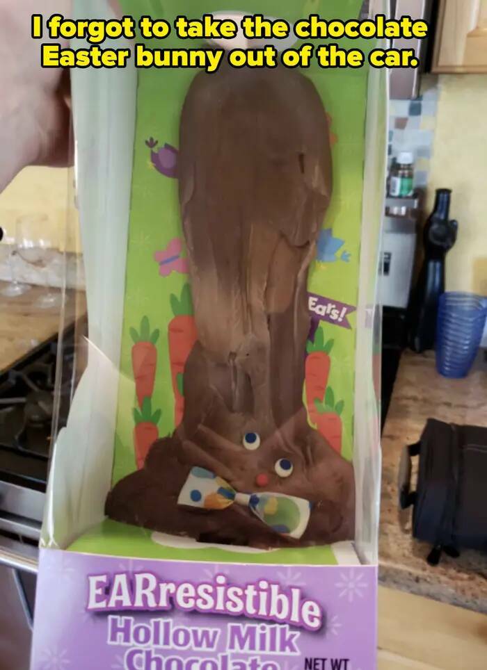 Epic Fails That People Instantly Regretted