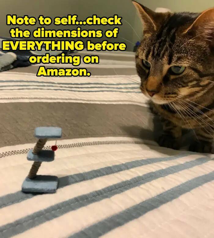 Epic Fails That People Instantly Regretted