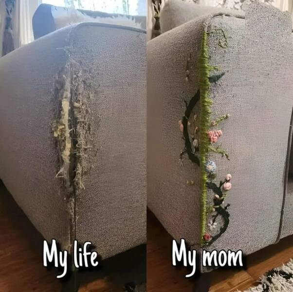 Funny Picdump Funny Picdump