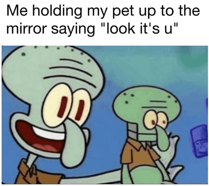 Funny Picdump Funny Picdump