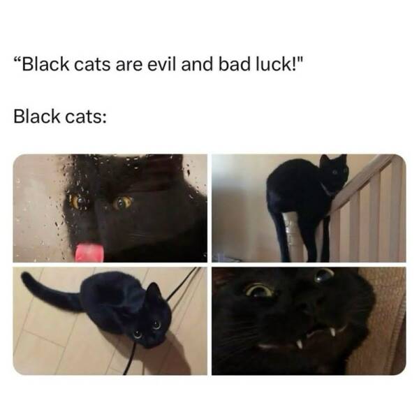 Funny Picdump Funny Picdump