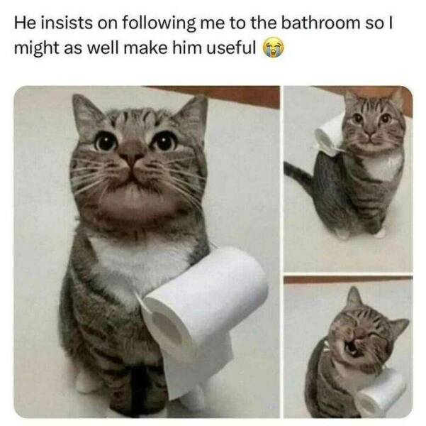 Funny Picdump Funny Picdump