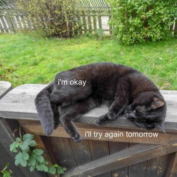 Funny Picdump Funny Picdump