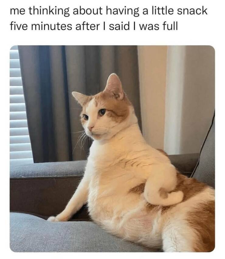 Funny Picdump Funny Picdump