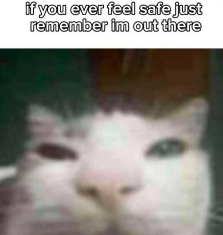 Funny Picdump Funny Picdump