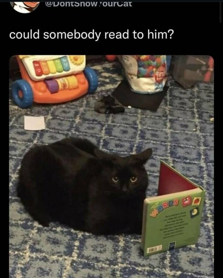 Funny Picdump Funny Picdump