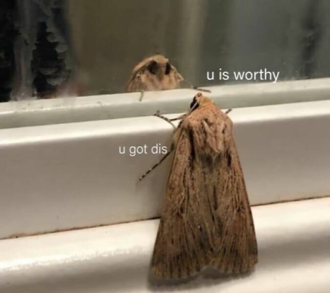 Just Girly Things: The Good, The Funny, And The Dramatic