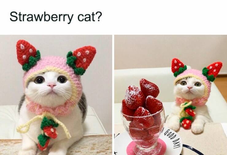 Just Girly Things: The Good, The Funny, And The Dramatic