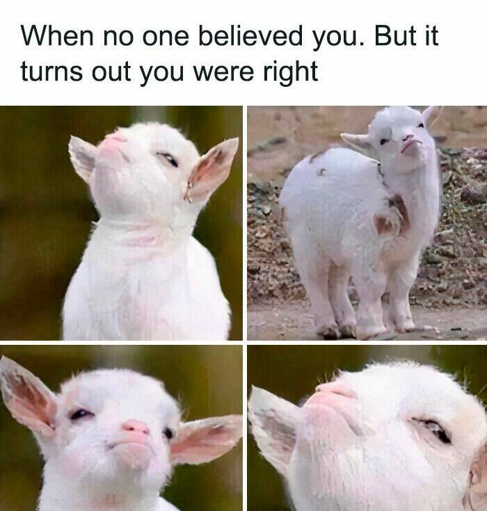 Just Girly Things: The Good, The Funny, And The Dramatic