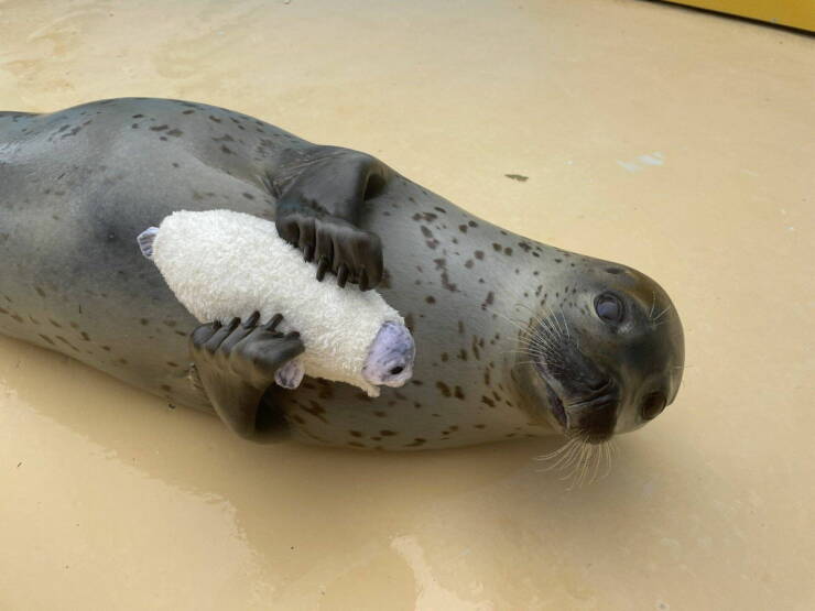 Morning Picdump
