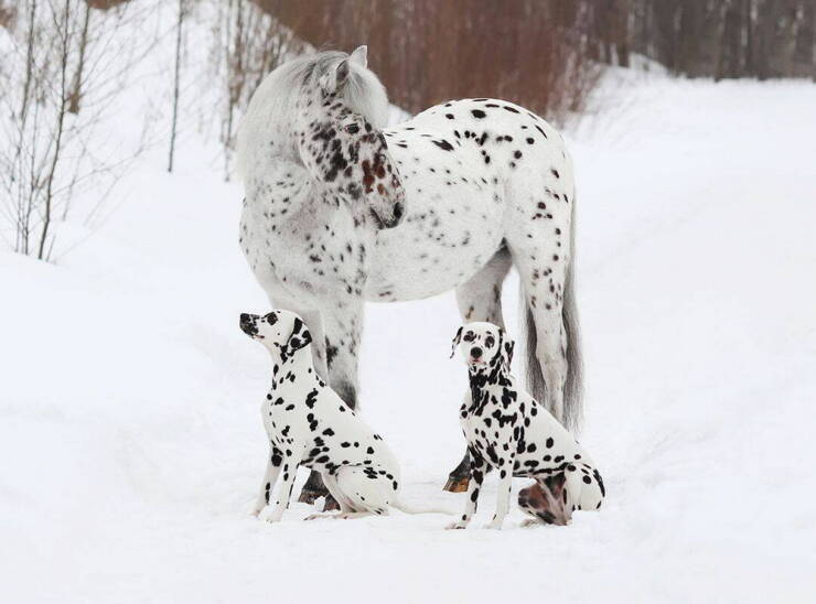 Morning Picdump Morning Picdump