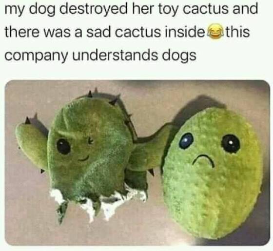 Morning Picdump Morning Picdump