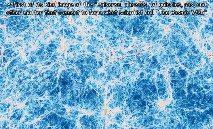 Morning Picdump Morning Picdump