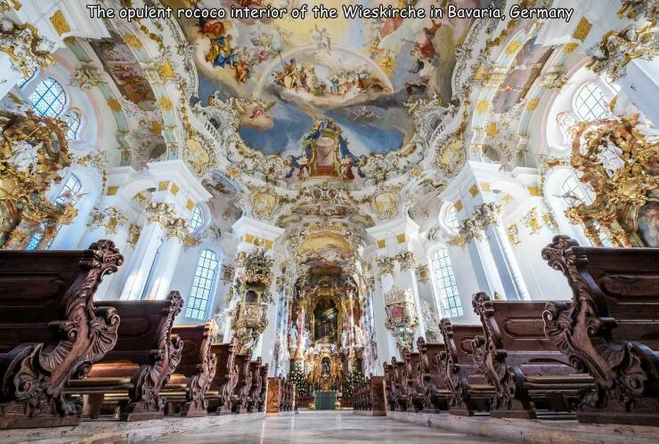 Morning Picdump Morning Picdump