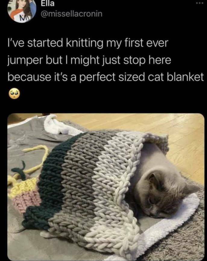 Morning Picdump