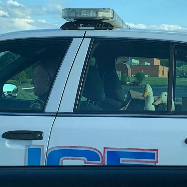 No Context, No Explanation—Just Pure Chaos