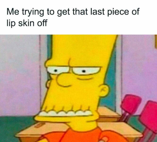 The Funniest Random Memes On The Internet